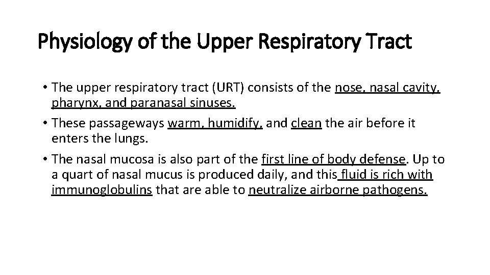 Physiology of the Upper Respiratory Tract • The upper respiratory tract (URT) consists of