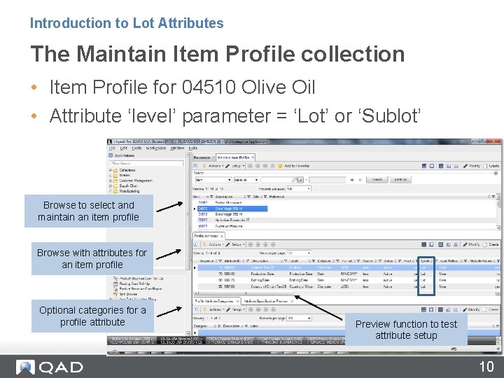 Introduction to Lot Attributes The Maintain Item Profile collection • Item Profile for 04510