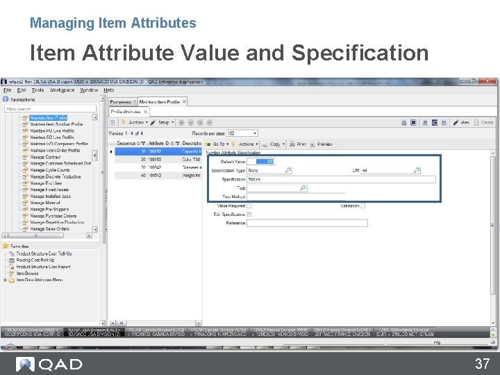 Managing Item Attributes Item Attribute Value and Specification 37 