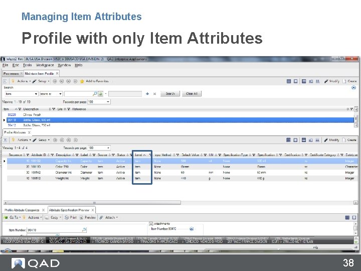 Managing Item Attributes Profile with only Item Attributes 38 