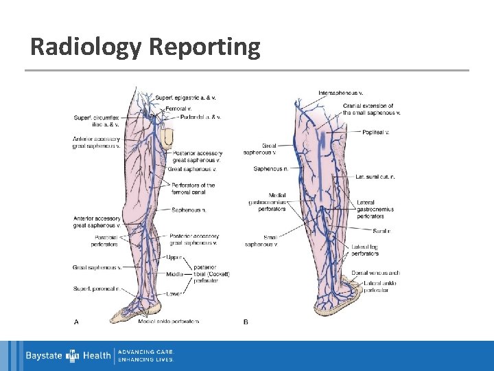 Radiology Reporting 