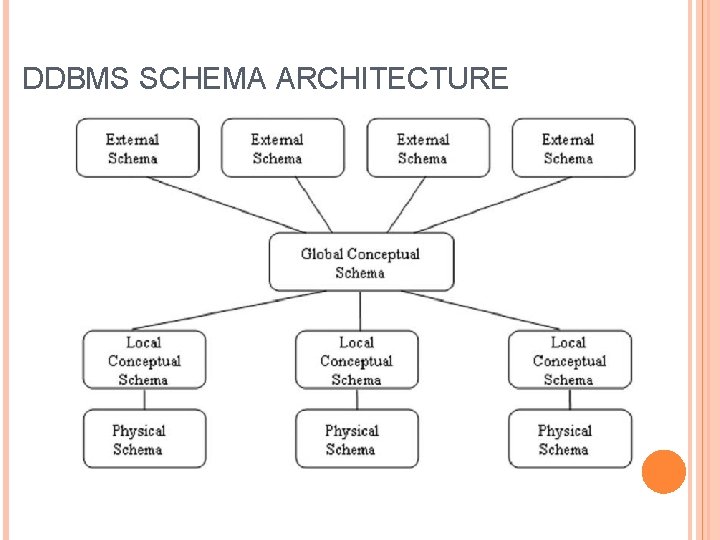 DDBMS SCHEMA ARCHITECTURE DDBMS SCHEMA ARCHITECTURE