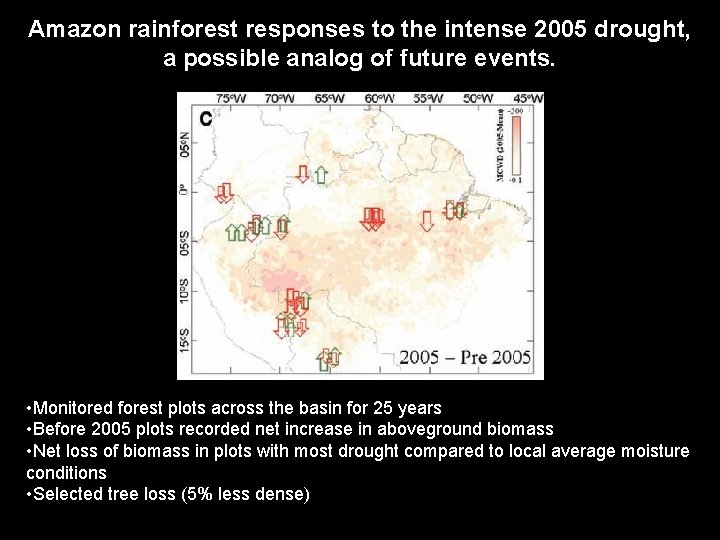 Amazon rainforest responses to the intense 2005 drought, a possible analog of future events.