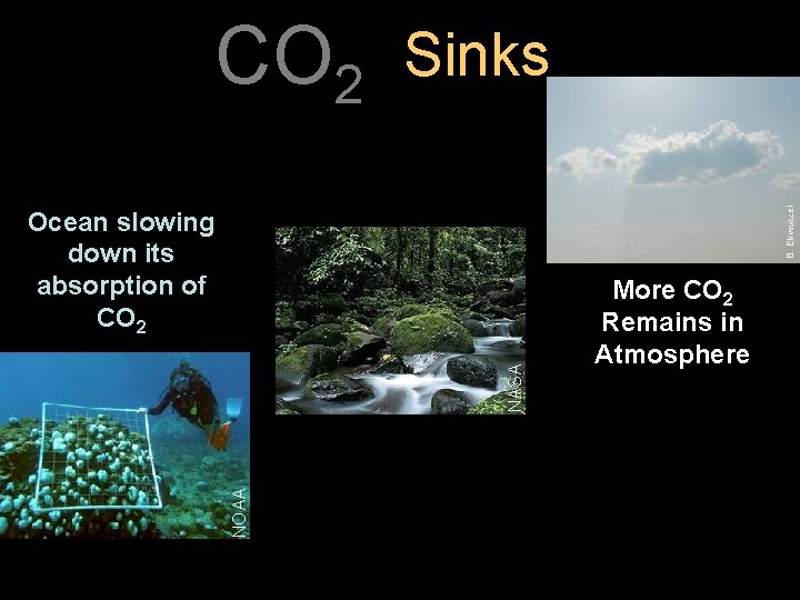 Sinks B. Ekwurzel CO 2 NOAA NASA Ocean slowing down its absorption of CO