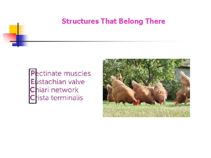 Structures That Belong There Structures That Belong There
