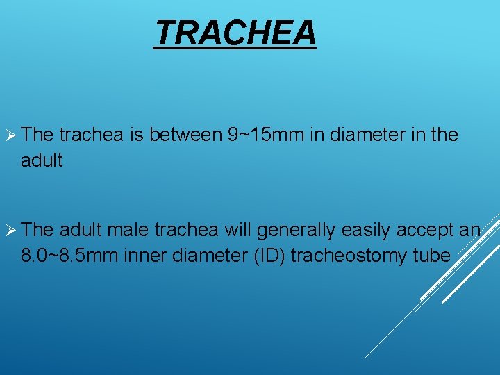 TRACHEA Ø The trachea is between 9~15 mm in diameter in the adult Ø