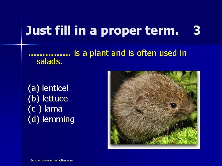 Just fill in a proper term. …………… is a plant and is often used