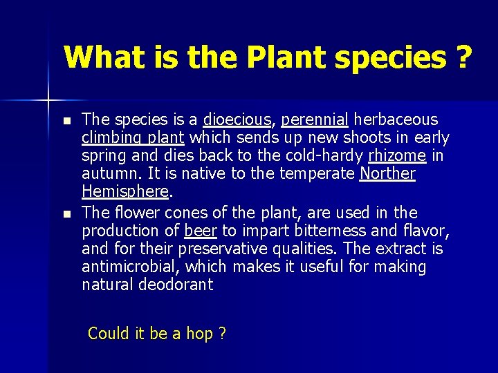 What is the Plant species ? n n The species is a dioecious, perennial