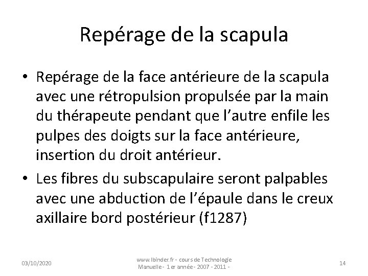 Repérage de la scapula • Repérage de la face antérieure de la scapula avec