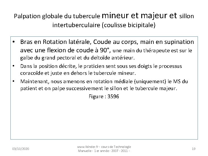 Palpation globale du tubercule mineur et majeur et sillon intertuberculaire (coulisse bicipitale) • Bras