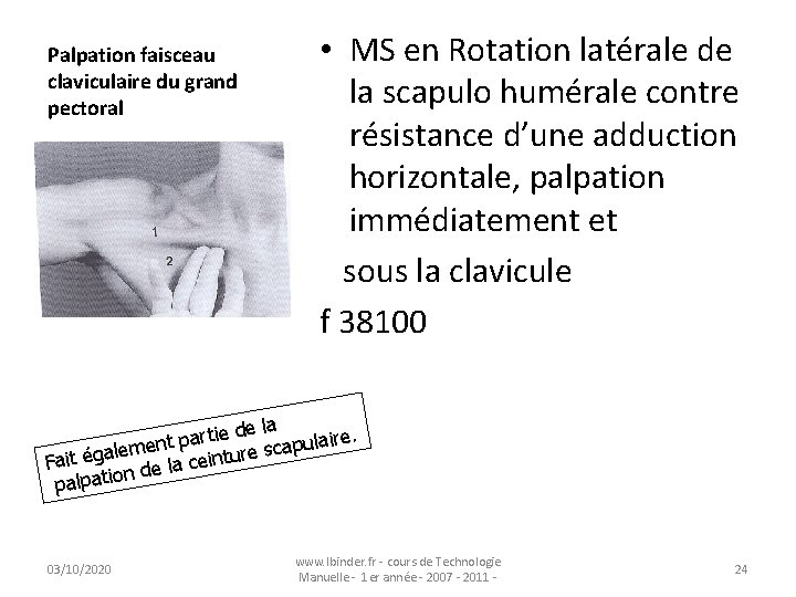 Palpation faisceau claviculaire du grand pectoral • MS en Rotation latérale de la scapulo