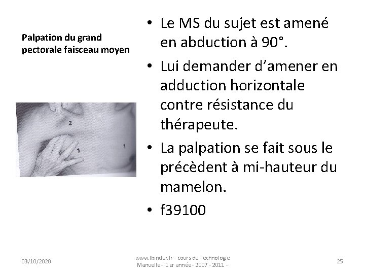 Palpation du grand pectorale faisceau moyen 03/10/2020 • Le MS du sujet est amené