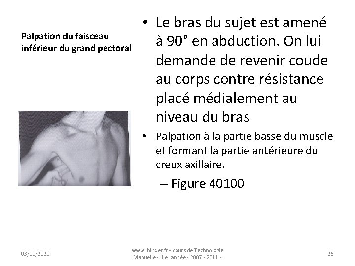 Palpation du faisceau inférieur du grand pectoral • Le bras du sujet est amené