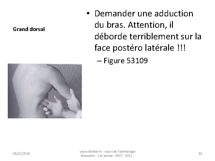 Grand dorsal • Demander une adduction du bras. Attention, il déborde terriblement sur la