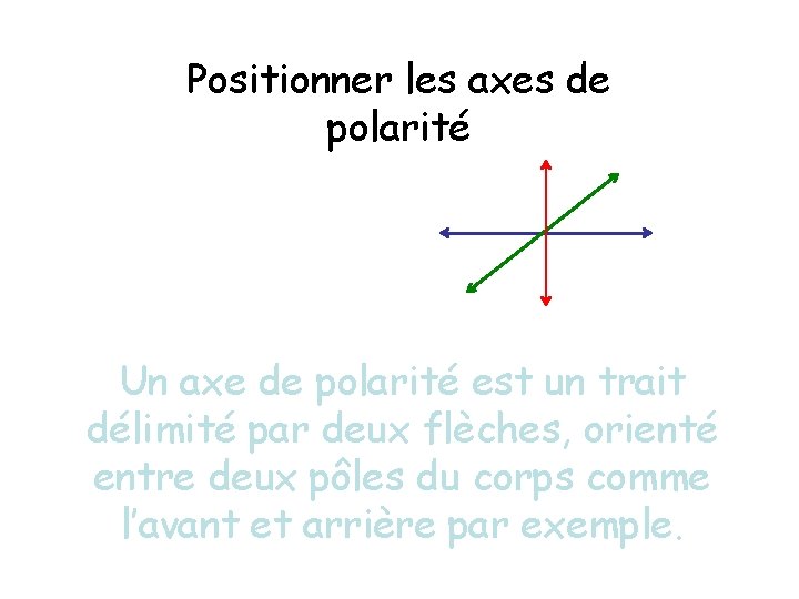 Positionner les axes de polarité Un axe de polarité est un trait délimité par