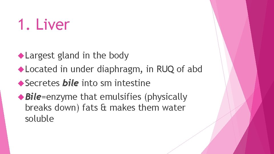 1. Liver Largest gland in the body Located Secretes in under diaphragm, in RUQ