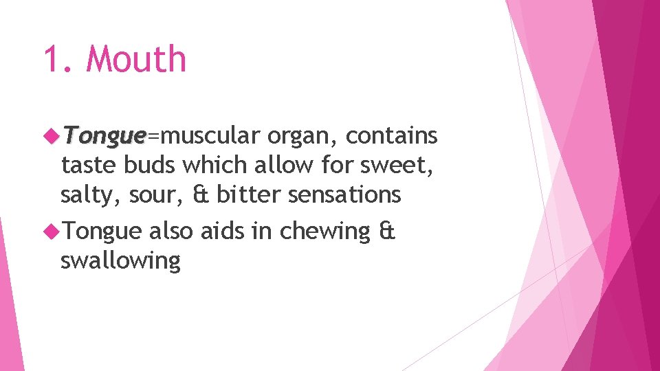 1. Mouth Tongue=muscular Tongue organ, contains taste buds which allow for sweet, salty, sour,