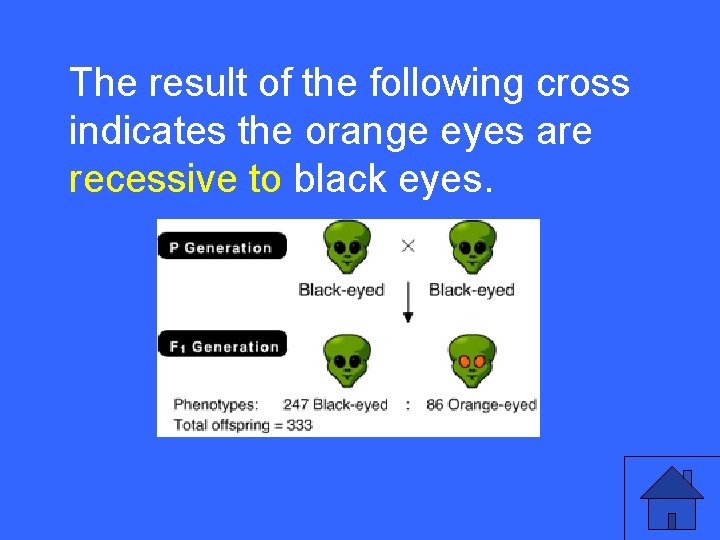 IIThe 10 aresult of the following cross indicates the orange eyes are recessive to