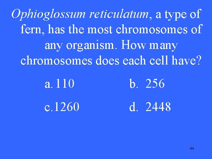 Ophioglossum reticulatum, a type of V 10 has the most chromosomes of fern, any Ophioglossum reticulatum, a type of V 10 has the most chromosomes of fern, any