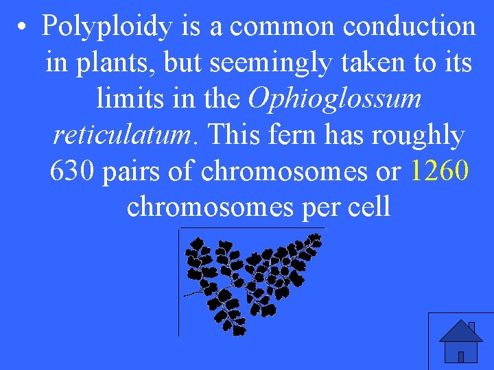  • Polyploidy is a common conduction in 10 a plants, but seemingly taken