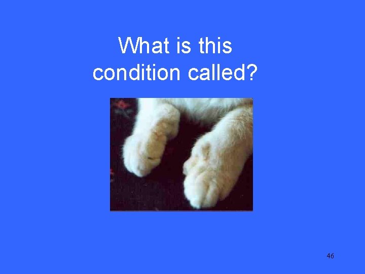V 15 What is this condition called? 46 V 15 What is this condition called? 46
