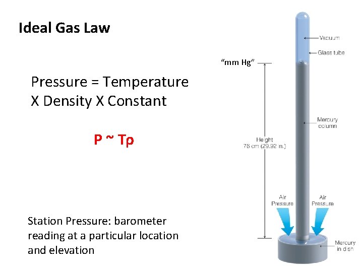 Ideal Gas Law “mm Hg” Pressure = Temperature X Density X Constant P ~