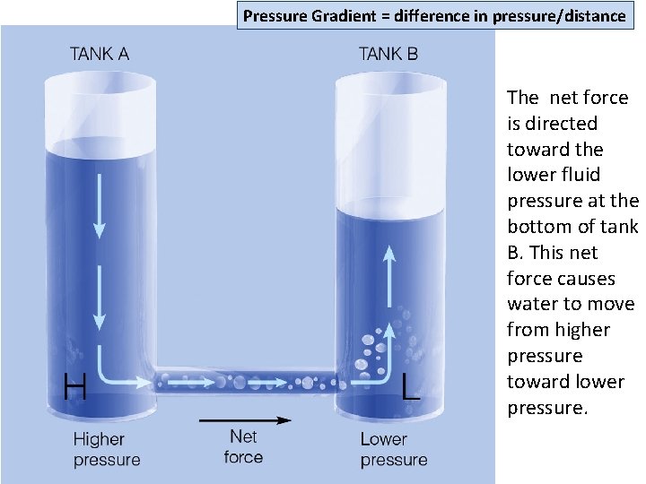 Pressure Gradient = difference in pressure/distance The net force is directed toward the lower