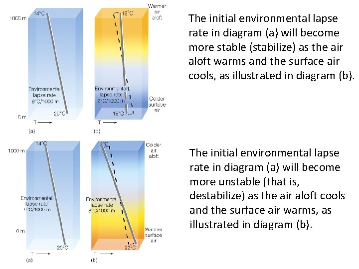 The initial environmental lapse rate in diagram (a) will become more stable (stabilize) as
