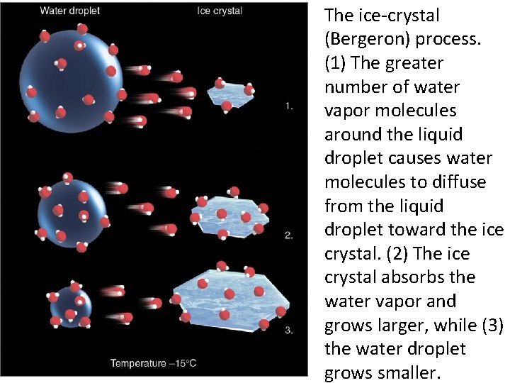 The ice-crystal (Bergeron) process. (1) The greater number of water vapor molecules around the