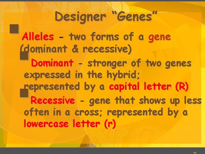 § Designer “Genes” Alleles - two forms of a gene (dominant & recessive) §