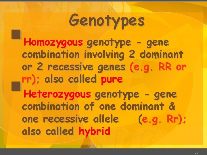 § Genotypes Homozygous genotype - gene combination involving 2 dominant or 2 recessive genes