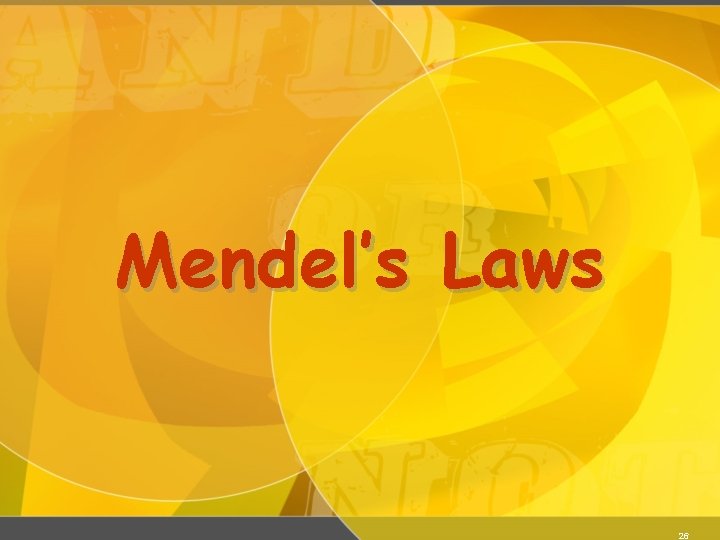 Mendel’s Laws 26 