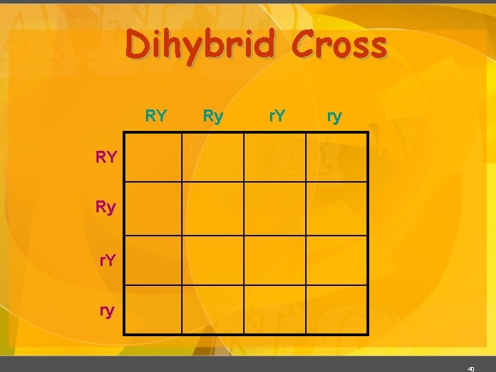 Dihybrid Cross RY Ry r. Y ry 40 