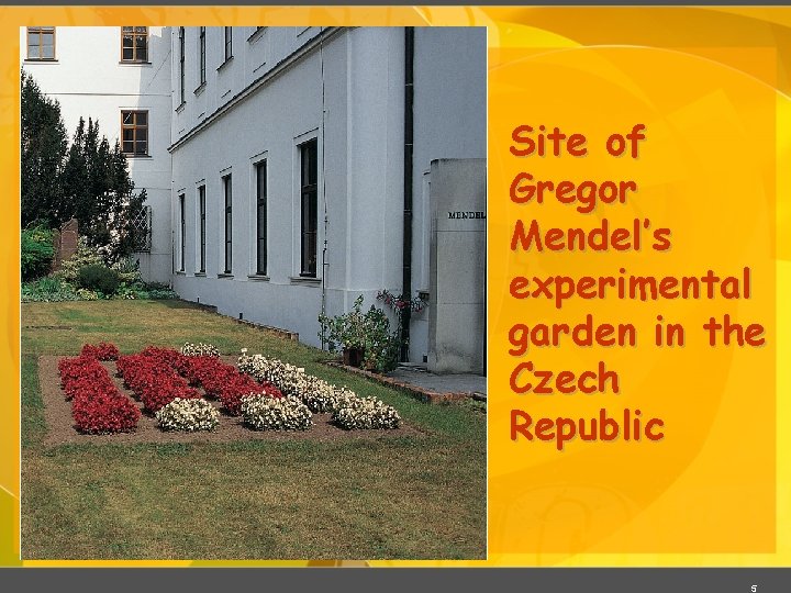 Site of Gregor Mendel’s experimental garden in the Czech Republic 5 