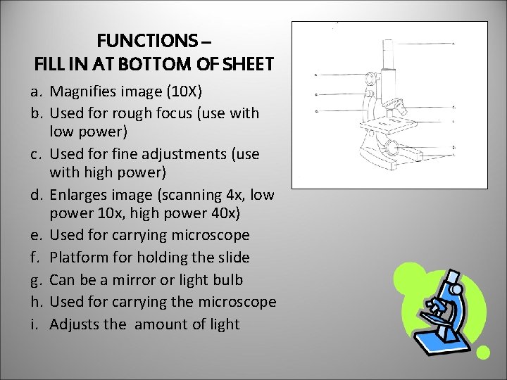 FUNCTIONS – FILL IN AT BOTTOM OF SHEET a. Magnifies image (10 X) b.