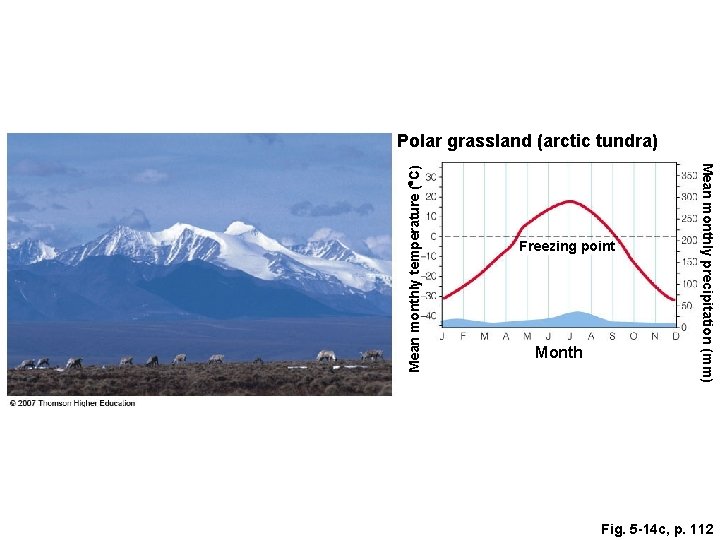 Freezing point Month Mean monthly precipitation (mm) Mean monthly temperature ( C) Polar grassland