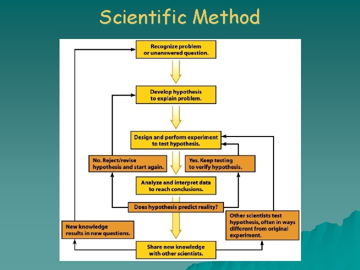 Scientific Method 