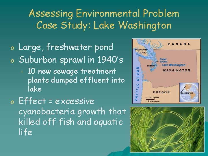 Assessing Environmental Problem Case Study: Lake Washington o o Large, freshwater pond Suburban sprawl