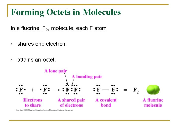 Forming Octets in Molecules In a fluorine, F 2, , molecule, each F atom