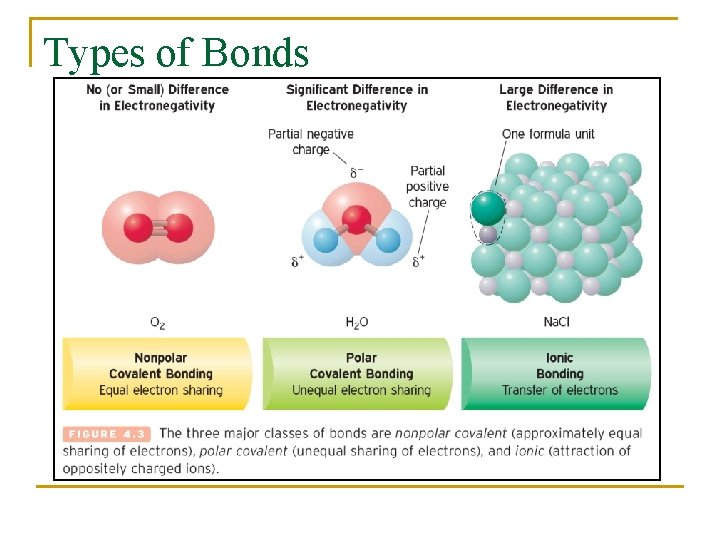 Types of Bonds 