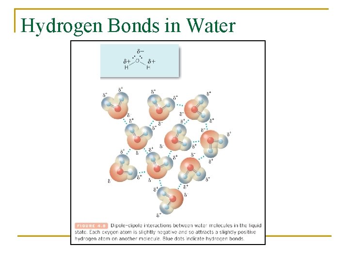 Hydrogen Bonds in Water 