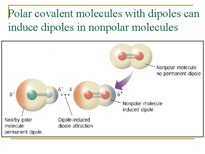 Polar covalent molecules with dipoles can induce dipoles in nonpolar molecules 