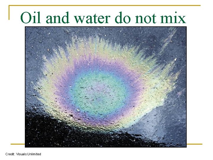 Oil and water do not mix Credit: Visuals Unlimited 