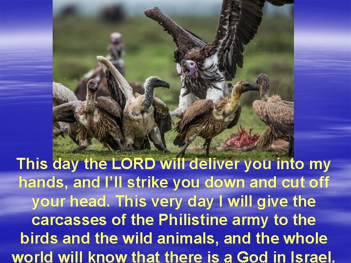 This day the LORD will deliver you into my hands, and I’ll strike you