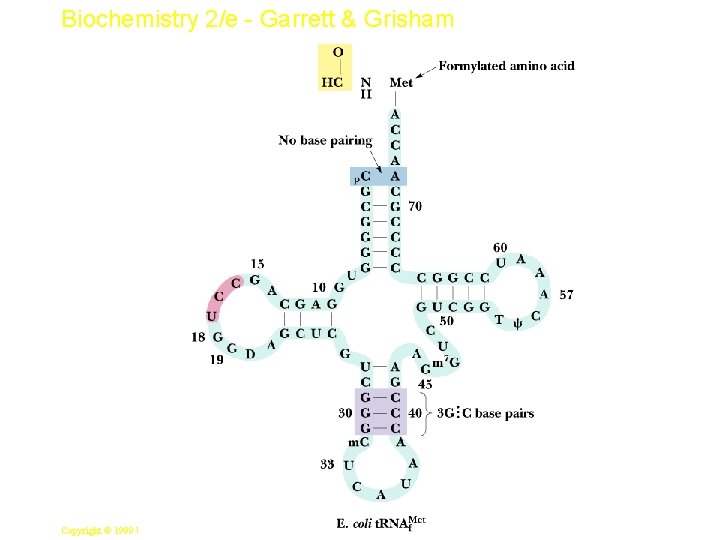 Biochemistry 2/e - Garrett & Grisham 14 Copyright © 1999 by Harcourt Brace &