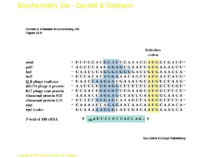 Biochemistry 2/e - Garrett & Grisham 16 Copyright © 1999 by Harcourt Brace &