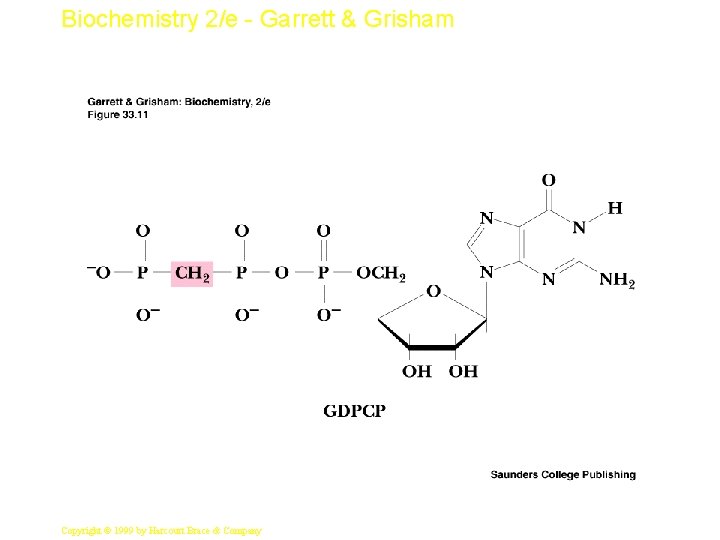 Biochemistry 2/e - Garrett & Grisham 19 Copyright © 1999 by Harcourt Brace &