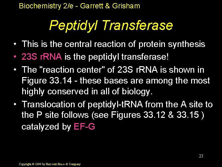 Biochemistry 2/e - Garrett & Grisham Peptidyl Transferase • This is the central reaction