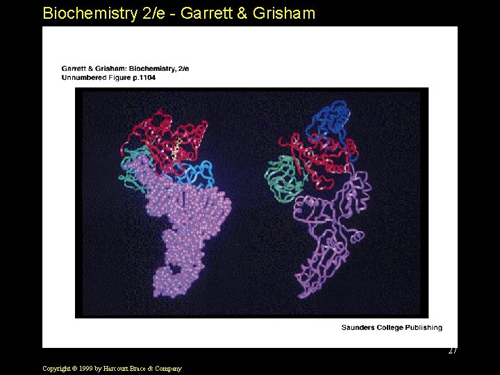 Biochemistry 2/e - Garrett & Grisham 27 Copyright © 1999 by Harcourt Brace &