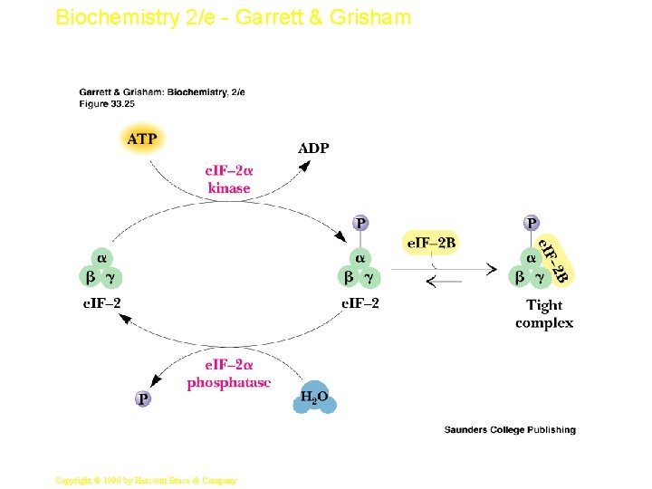 Biochemistry 2/e - Garrett & Grisham 38 Copyright © 1999 by Harcourt Brace &